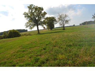 Dekalb County, Indiana Farmland - MAJOR LAND AUCTION - 516+/- ACRES OFFERED IN 18 TRACTS OR COMBINATIONS IN DEKALB COUNTY, INDIANA